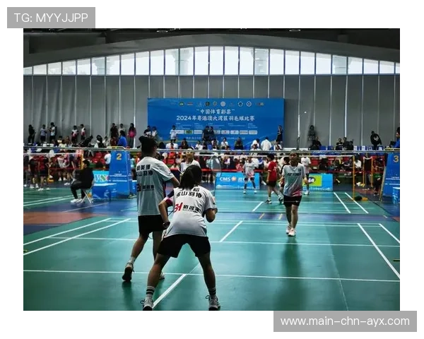 羽毛球赛场救回精彩瞬间合集：教科书级技术